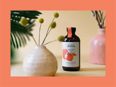 The Clean Nest brand branding design fruit illustration lockup logo type typography vector