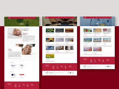 EVERLIGHT CHEMICAL design ui ux