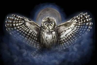 Night Owl 2d 2d illustration art branding cover art game art graphic design illustration