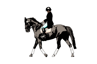 Horse riding. Woman riding horse Vector art, cartoon landscape