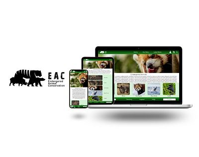 EAC- A Responsive Website & App for Endangered Animals design ui ux website