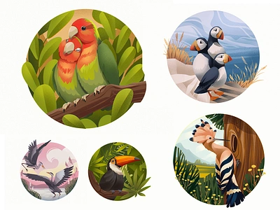 Case Study: Bright Birds Illustrations animals art bird birds design design studio digital art digital artist digital artworks digital illustration digital painting fauna graphic design illustration illustrations illustrator nature procreate travel wildlife