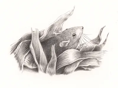 Bosco Vecchio animal artwork black book book design children illustration childrens book design dino buzzati graphite gray handmade illustration mouse pencil traditional art white