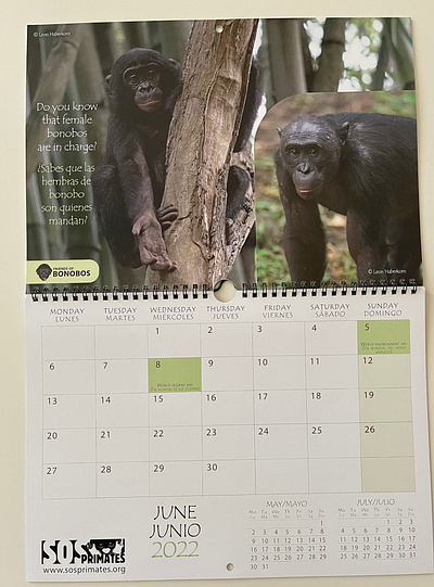 Calendar design (SOS Primates, non-profit) adobe illustrator adobe indesign adobe photosho`p calendar calendar design design graphic design print print design