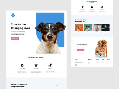 Pet Care Landing Page branding design landingpage pet ui uidesign uiux uiuxdesign webdesign website