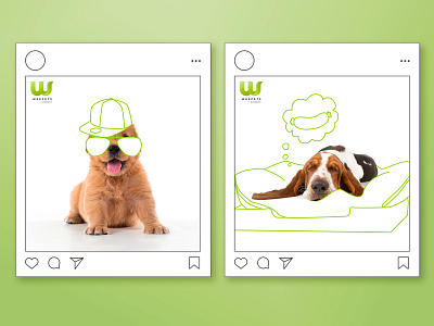 WeePets | Social Media posts branding dog hand drawn illustration instagram instagram design instagram post insurance insurance solutions marketing marketing campaign marketing design pets plug and play post social media social media design social media graphics social media post startup