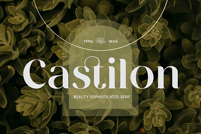 Free Castilon - Elegant Beauty Sophisticated Serif Font calligraphy display font display typeface elegant font font awesome font family fonts fontype handwritten lettering modern font modern fonts sans serif sans serif font script serif font type typedesign typeface vintage font