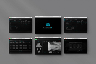 CaptureX Software UX-UI design graphic design illustration rhyton ui ux
