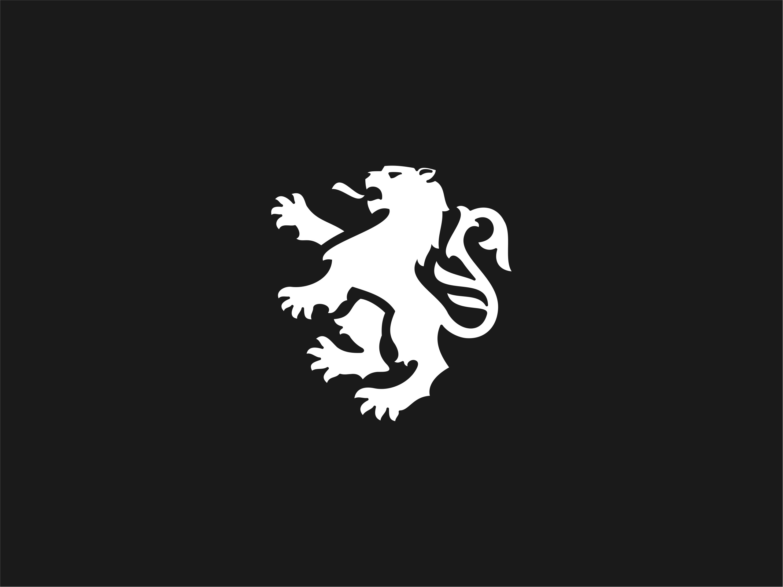 Example of Sports Branding