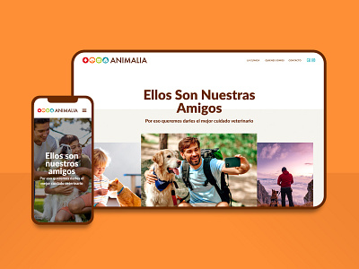 Website Animalia costa rica mobile petshop ui ux veterinary web web design web development website