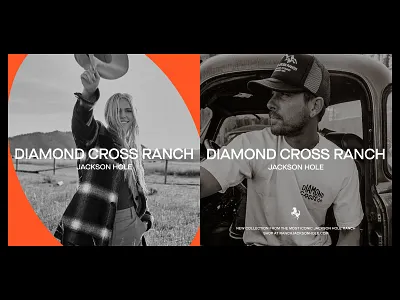 DCR Brand Refresh brand brand identity brand resfresh branding custom website feminine identity identity design logo logo design logos logotype minimalism packaging rebrand rebranding social media ui website