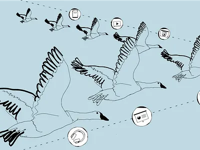 Marketing and Sales alignment alignment article birds blue content marketing geese illustration marketing saas