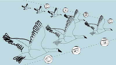 Marketing and Sales alignment alignment article birds blue content marketing geese illustration marketing saas