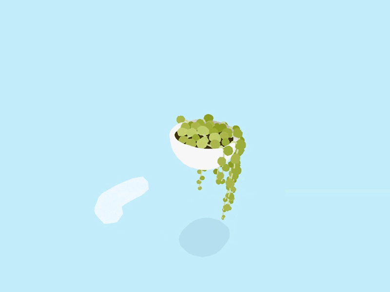 Day 25-26 String of Pearls 100daysofvr 100daysofvrbytx 3d houseplant oculus quill quillustration string of pearls the100dayproject virtual animation vr