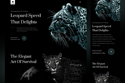 Landing page concept about wild cats-Leopard app branding design design landing travel ui ux