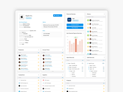 SaaS Customer Manager - Customer Details customer customer business management tool saas ui