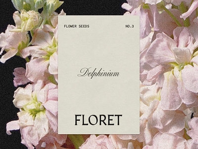 Flower Seeds Packaging for FLORET branding design illustration logo logo design packaging packaging design visual identity