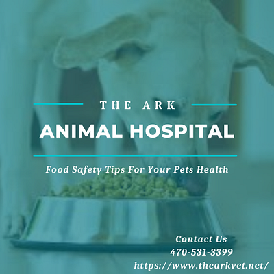 Food Safety Tips For Your Pets Health veterinarian dallas ga