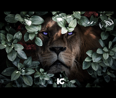 Into The Light design digital art digital design graphic art graphic design lighting photo manipulation photography visual art