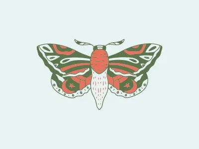 Butterfly Illustration branding butter design graphic design illustration logo logo designer logodesign ui ux vector