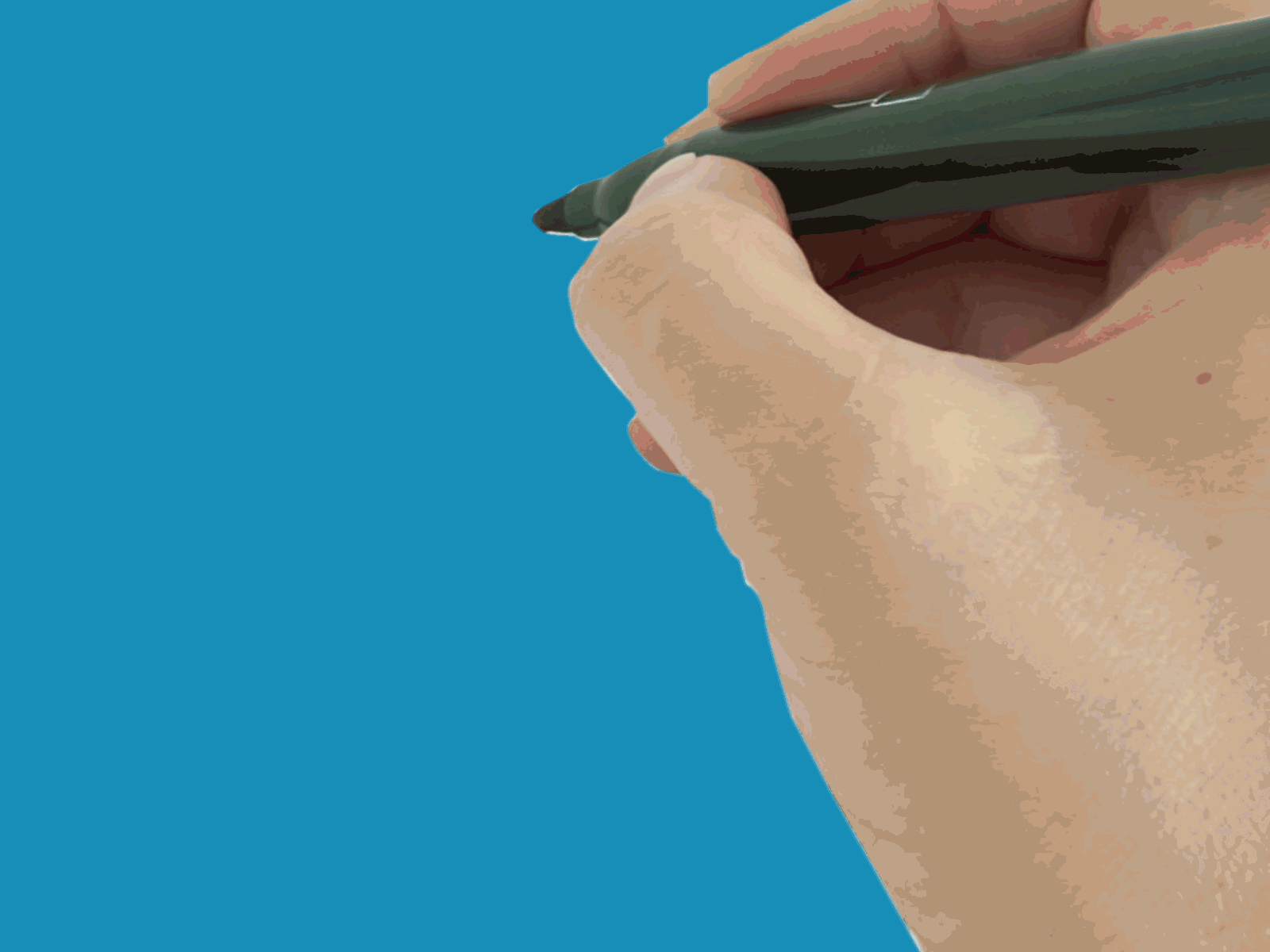 Drawing_a_rose animation doodle motion graphics video clip