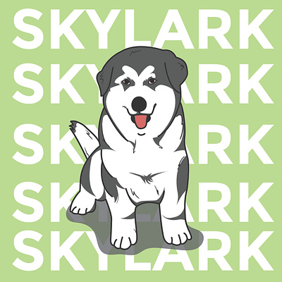 Simple Dog Illustration adobe illustrator art graphic design ill illustration illustration art ilustration design ilustrator pet