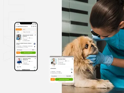 PetsCare app. Vets page animals app application cat dog fun health help mobile orange pets vet