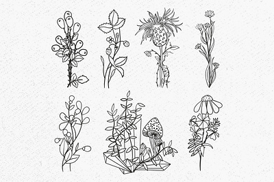 Wild flower graphic design wild flower