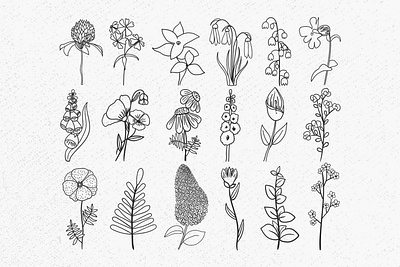 Wild hand drawn flower graphic design wild hand drawn flower