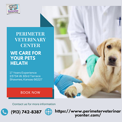 Get specialist veterinarian for your pet's surgery and other dis vet clinic shawnee ks