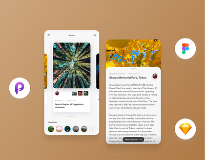 Tourist Destination App borobudur branding design destination figma graphic design illustration indonesia jogja mobile app principle tourist tourist destionation turis ui yogyakarta