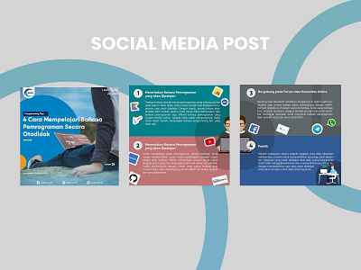 SOCIAL MEDIA POST branding carrousel design feed graphic design instagram vector