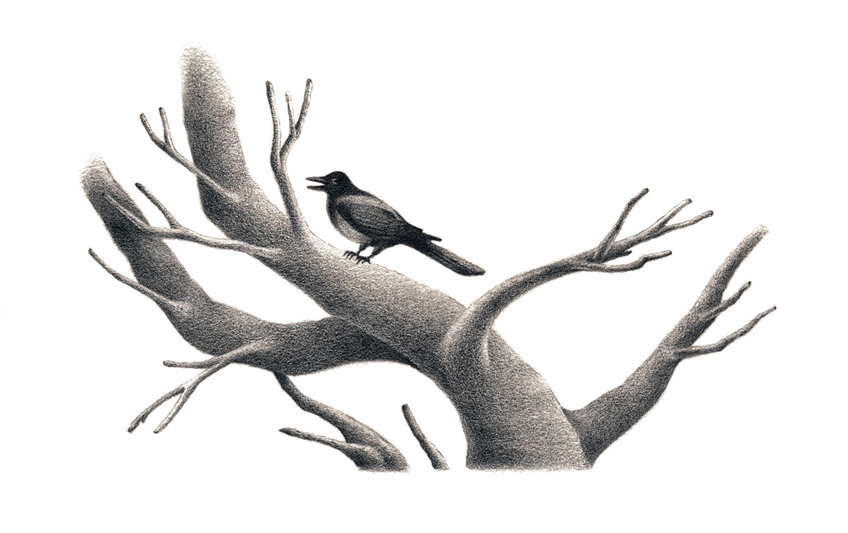 Example of Magpie