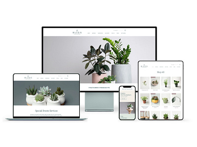 BUDS Website branding plant shop plant store plants responsive design web design website