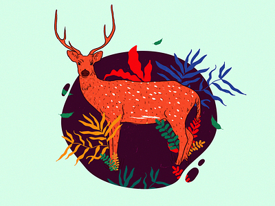 Deer Art animal animal avatar animal illustartion art avatar branding deer deer art earth illustartion jungle art layout layout design nature nature art save animal save earth save life ui vector