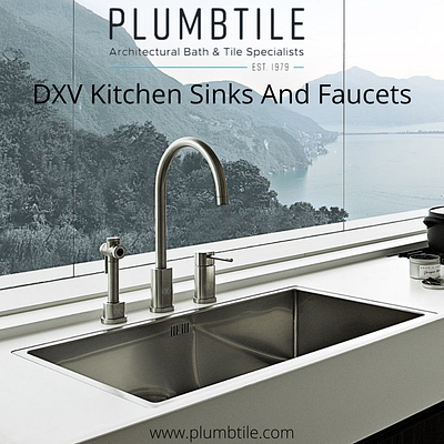 DXV Kitchen Sinks And Faucets dxv faucets dxv kitchen faucets dxv plumbing kitchen accessories in kitchen renovation kitchen upgrade stylish dxv kitchen faucets