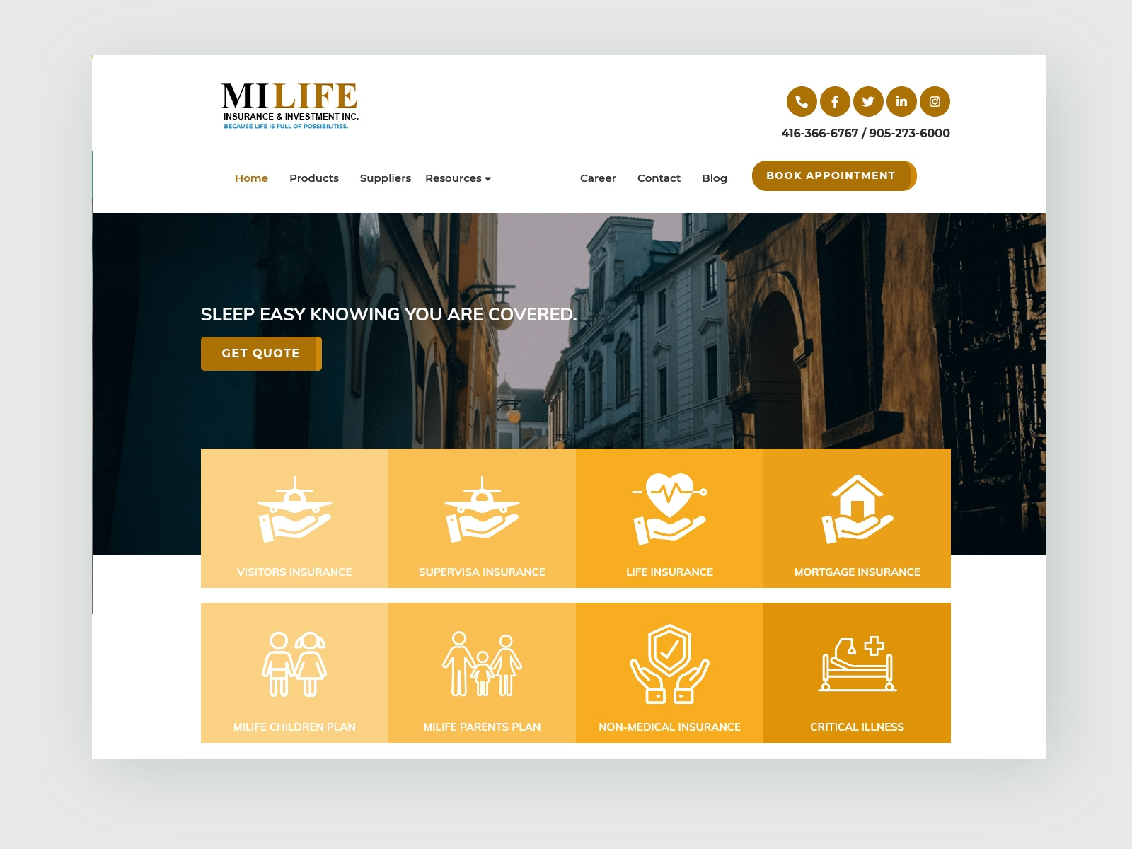Investment and Insurance website design graphic ui ui ux website