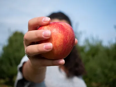 Hidden apple depth of field faceless portrait outside photography