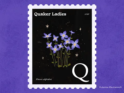 Flower alphabet 17/26 - Quaker Ladies abc alphabet art artist blue flower book illustration children illustration design draw flower flower alphabet flower illustration illustration illustrator letter q licensing purple flower quaker ladies