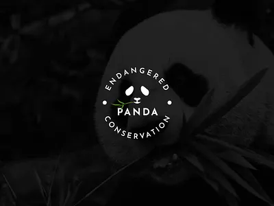 Endangered Panda Conservation branding endangered graphic design logo logo design panda panda conservation vector art wildlife