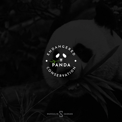 Endangered Panda Conservation branding endangered graphic design logo logo design panda panda conservation vector art wildlife