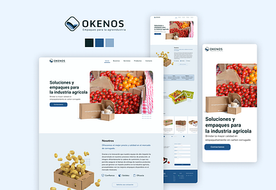 Okenos-Landing-Branding branding design figma graphic design illustration logo ui user interface