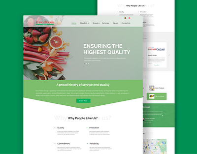Redesigning the homepage of Euro food group. figma foodtech foodtech landing page homepage design landing page design ui ui design user interface webpage