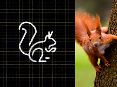 Squirrel / icon on the grid 🐿 animal animals branding design designer graphic grid icon icons identity illustration line logo logodesigner mark pictograms squirrel symbol ui vector
