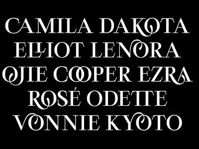 ED Promise branding display serif elegant font lettering logo serif type type design typeface typography