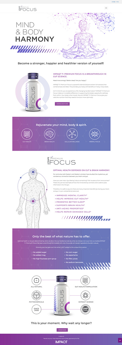 IMPAQT FOCUS Website & Copyrighting design