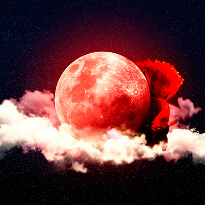 Just a fish digital art manipulation photoshop