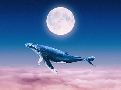 Above the Sky digital art manipulation photoshop