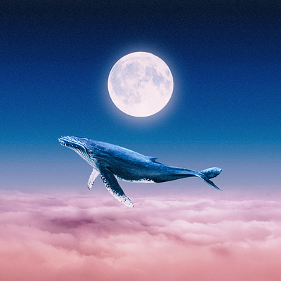 Above the Sky digital art manipulation photoshop