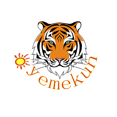 Oyemekun Logo illustration logo